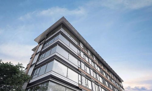 500強品質背書 龍湖建工 九里熙宸實力領跑主城