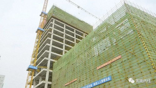 黃陂區(qū)融媒體中心大樓主體工程順利封頂，二期建設(shè)即將全面展開(kāi)